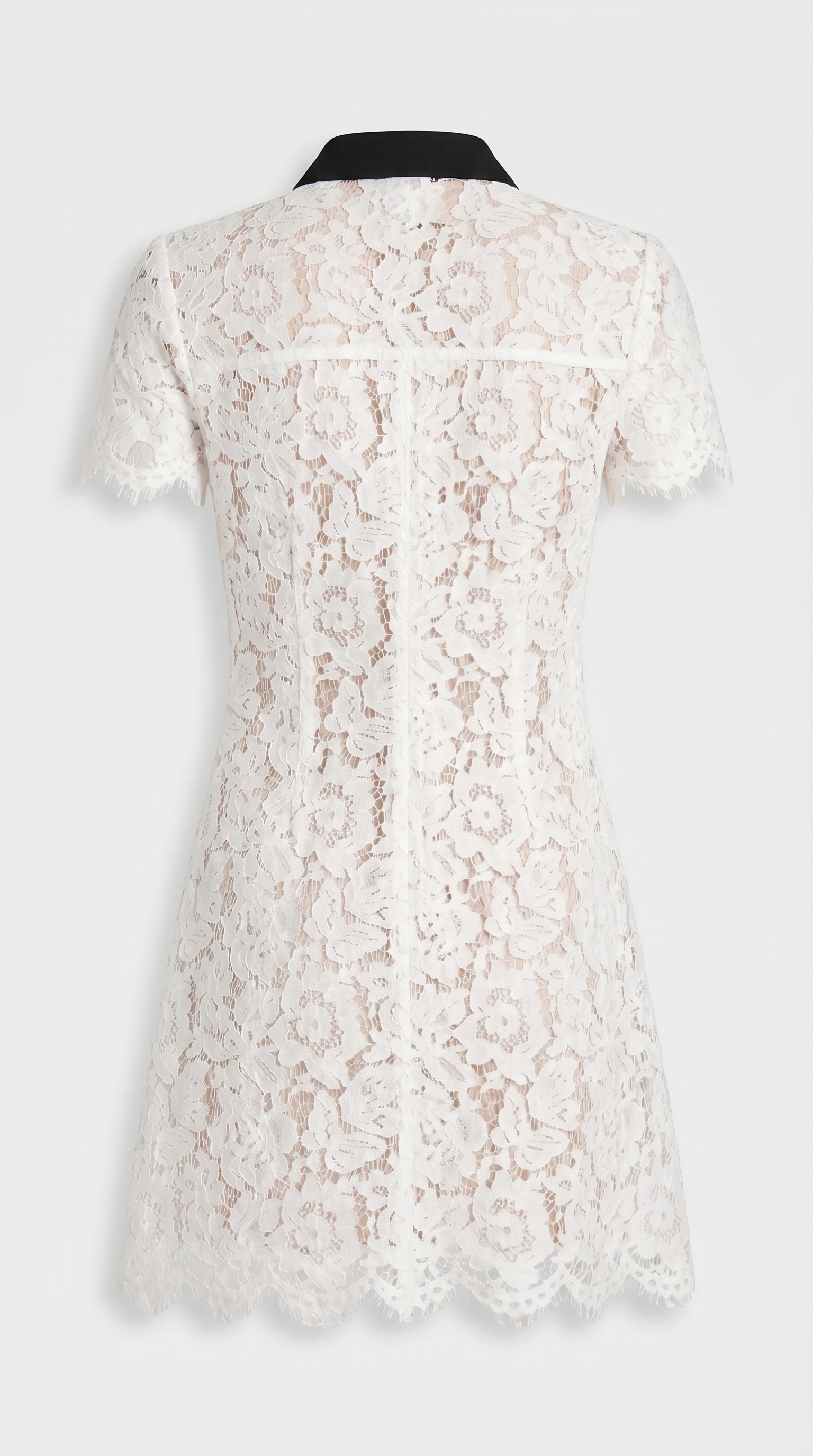 Pura - Contrast-Trim Floral Lace Mini Dress